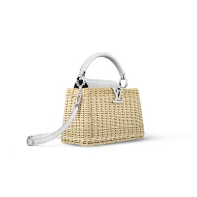 LOUIS VUITTON CAPUCINES BB N85520 (27*17*14cm)